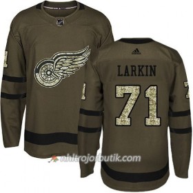 Män Ishockey Detroit Red Wings Tröja Dylan Larkin 71 Adidas 2017-2018 Camo Grön Authentic